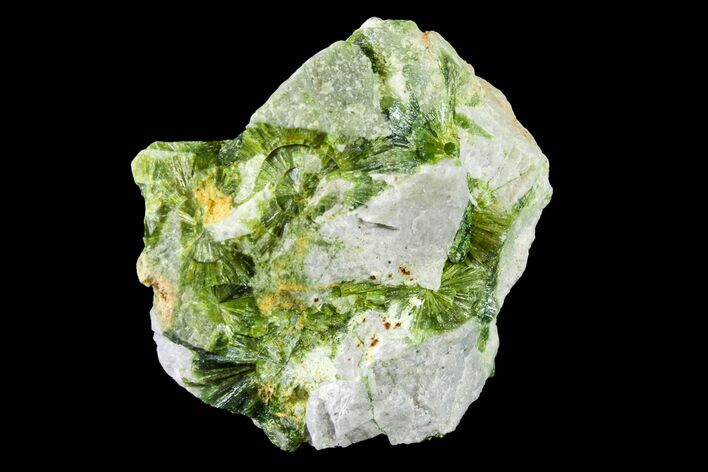 Radiating, Green Wavellite Crystal Aggregation - Arkansas #163083